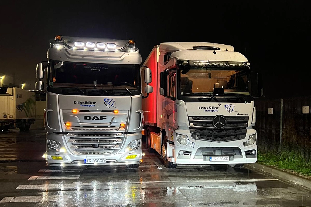 camion Daf si Mercedes-Benz Actros din flota firmei