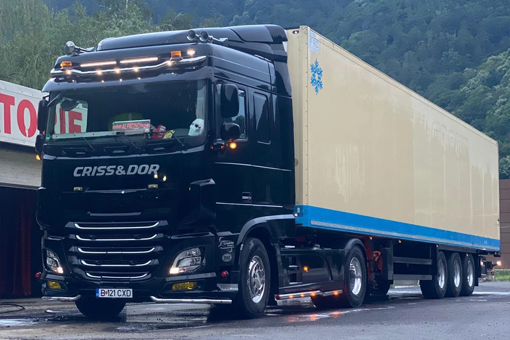 transport frigorific international